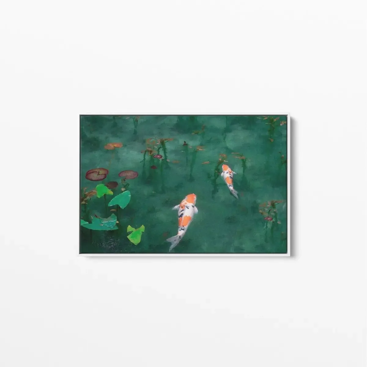 Acting Koi - Fish Koi Goldfish Art Print Stretched Canvas Wall Art