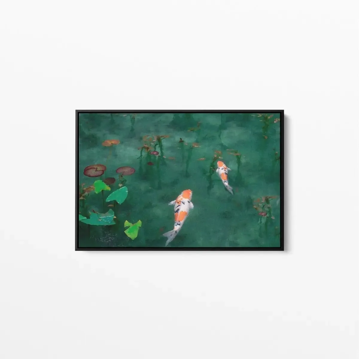 Acting Koi - Fish Koi Goldfish Art Print Stretched Canvas Wall Art