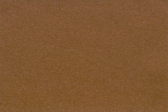 Camel Plain 100% Vicuna (Ref-513018)